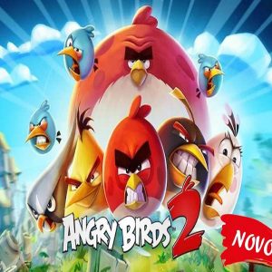 Sistema Angry Birds Cash (Assinatura Mensal) COD 1110